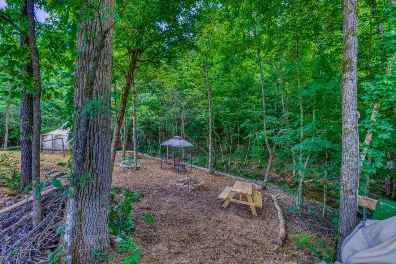 The Gemini-A Dreamy, Waterfront Tiny Cabin Rogersville Exterior foto